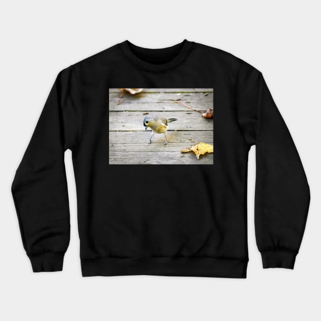 "Songbird Takes a Bow" Crewneck Sweatshirt by Colette22